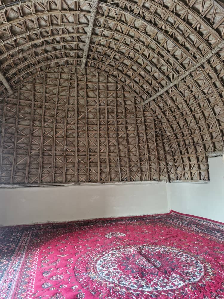 کپرسنتی ساحلی در جزیره هرمز نما 