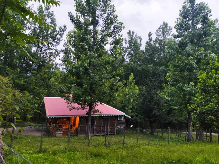 کلبه جنگلی در سیاهدول ماسال - آمادای
