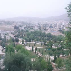 hostIntroImage-رضا قاسمی