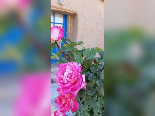 null