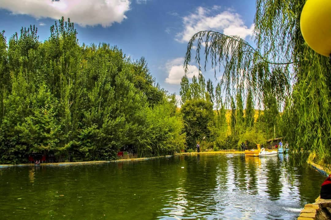 نمایی از حیاط