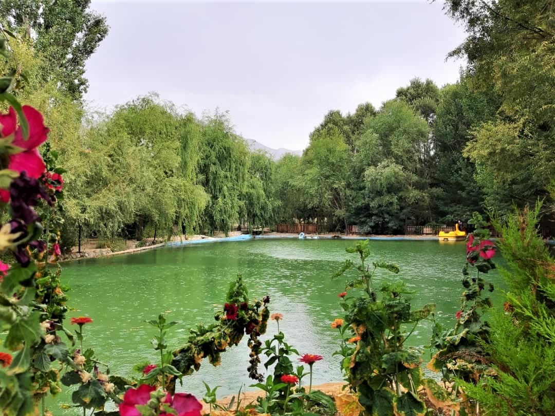 نمایی از حیاط