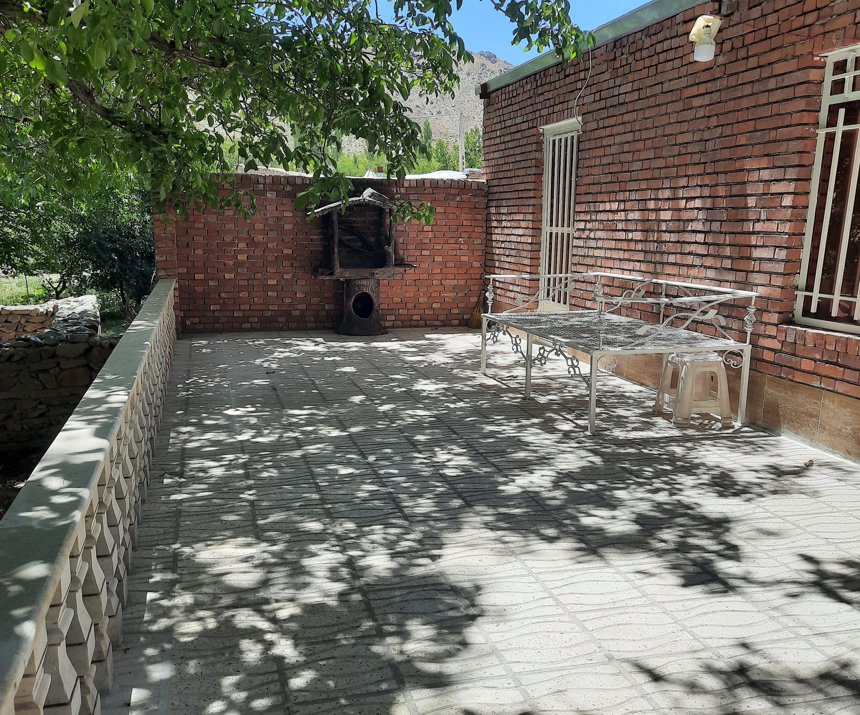 حیاط
