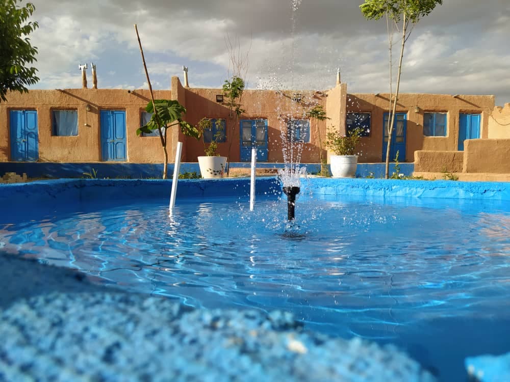 null