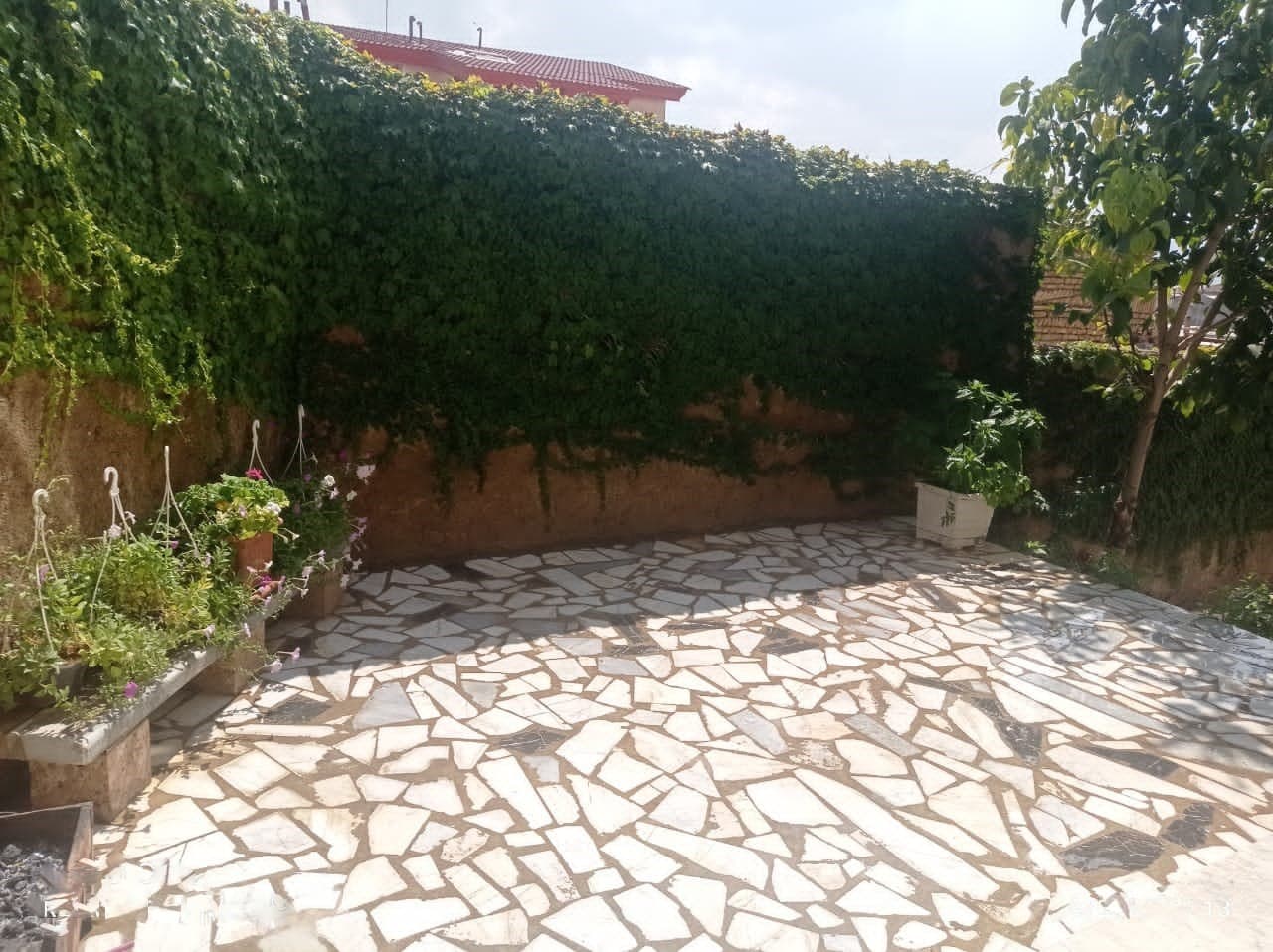 حیاط
