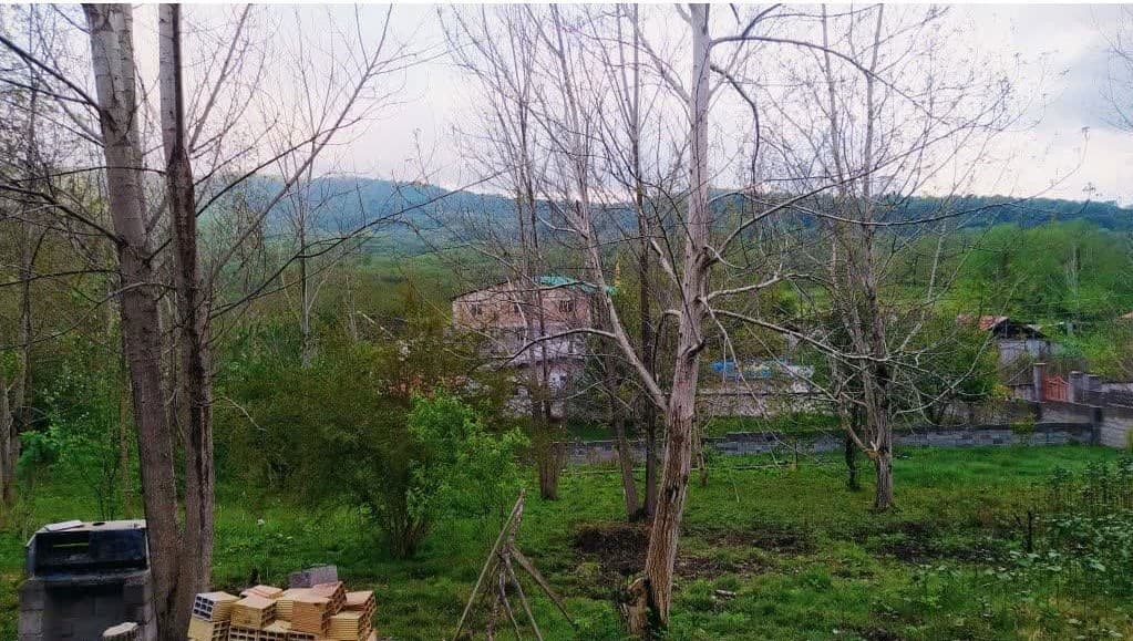 چشم انداز 