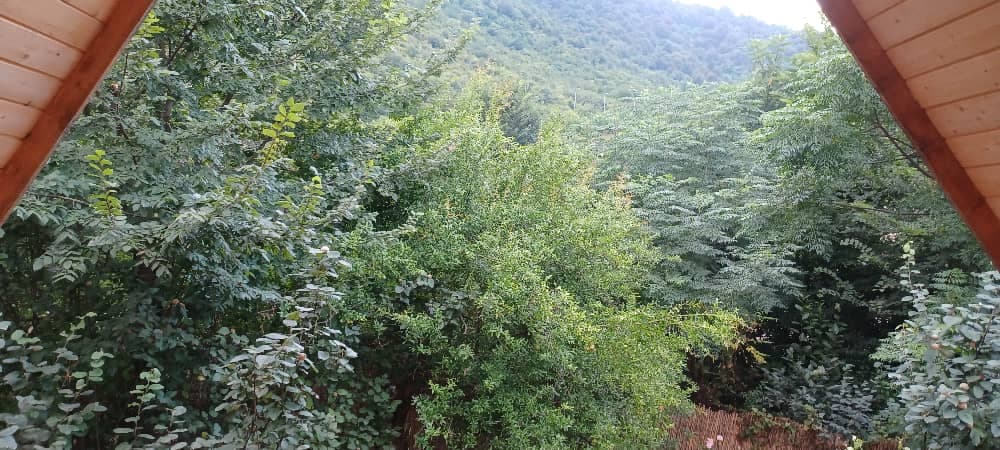 چشم انداز 