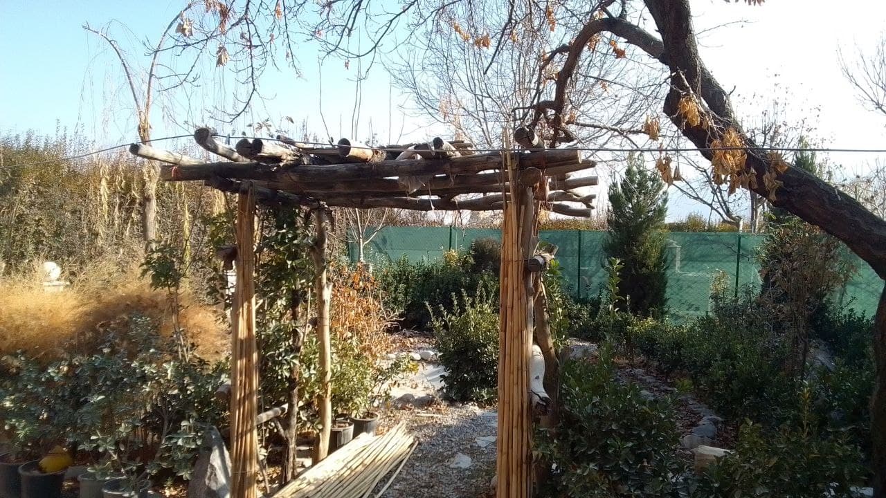محوطه باغ