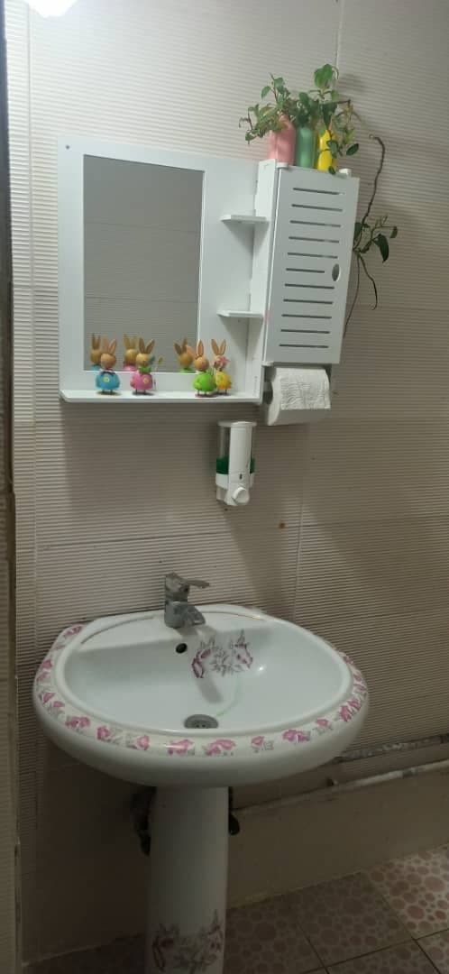 سرویس بهداشتی