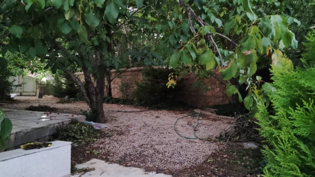 محوطه باغ 
