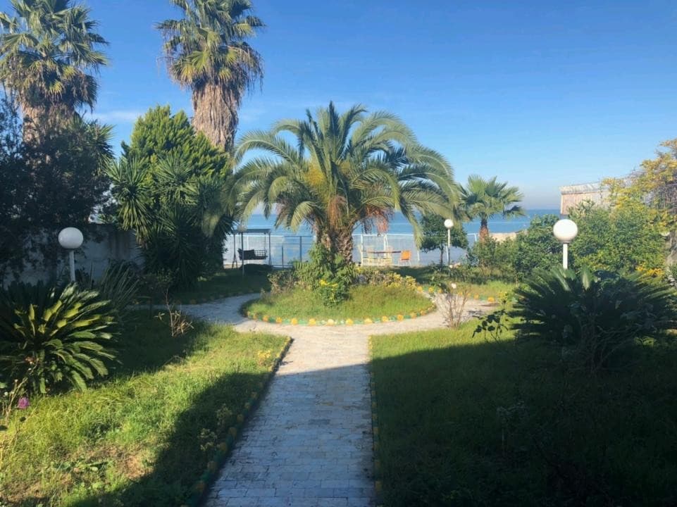 نمایی از حیاط