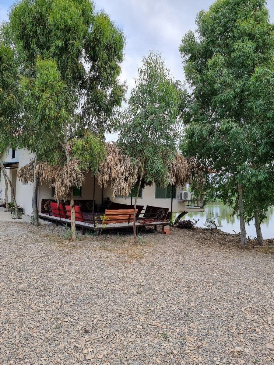 محوطه 