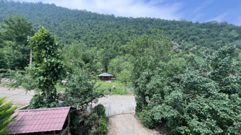 چشم انداز 