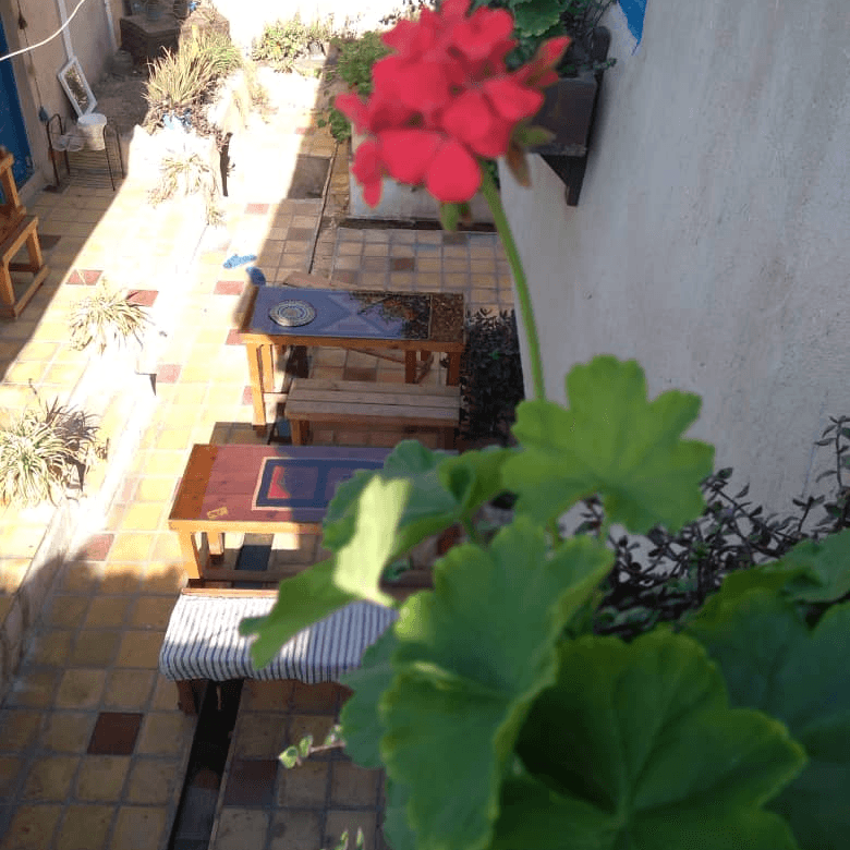 محوطه