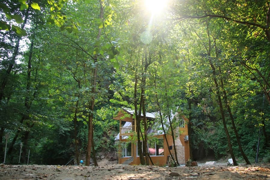 نما کلبه