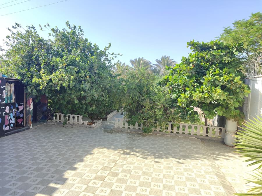 حیاط