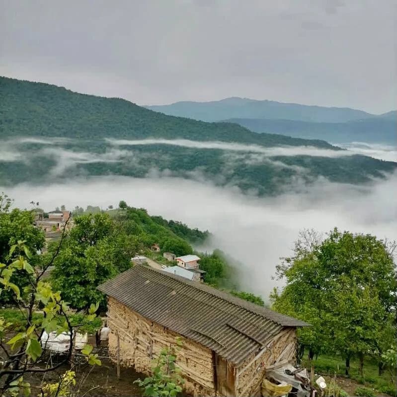چشم انداز 