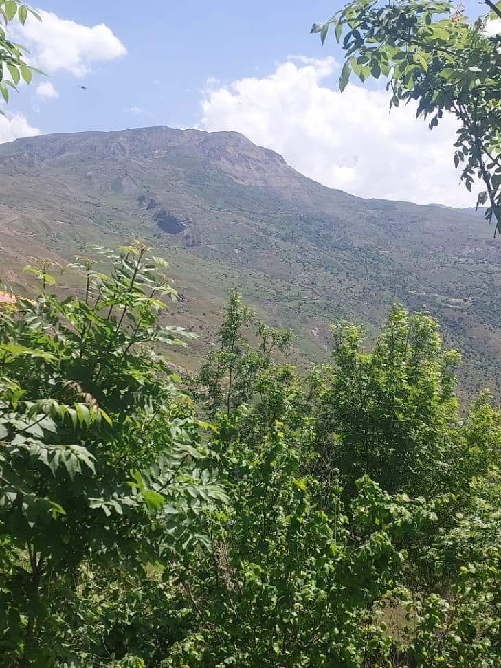 چشم انداز
