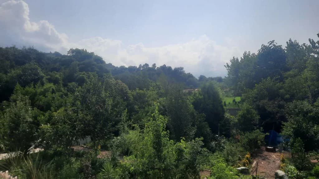 چشم انداز 