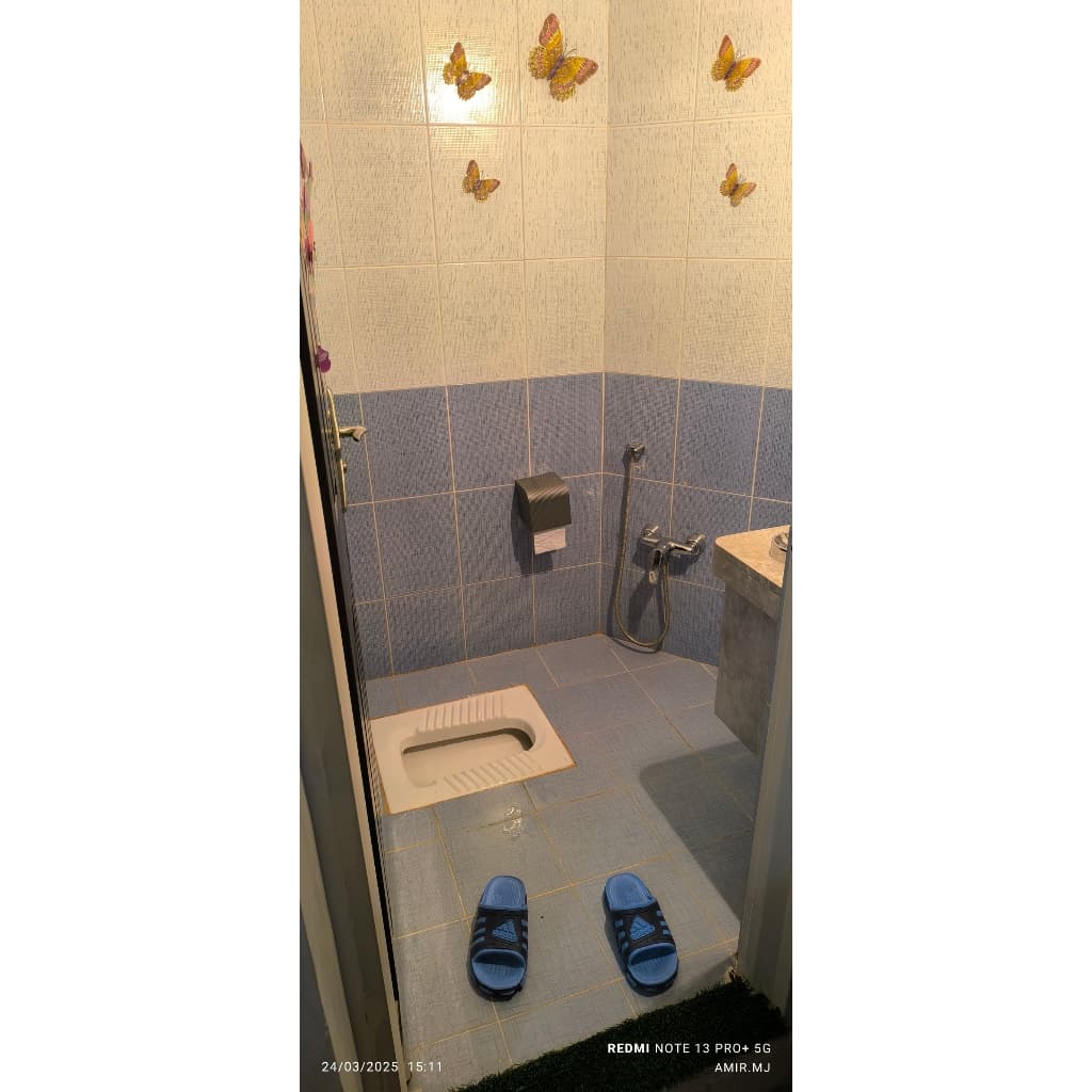 سرویس بهداشتی 