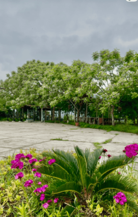محوطه