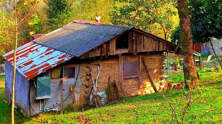 نما کلبه