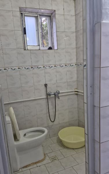 سرویس فرنگی 