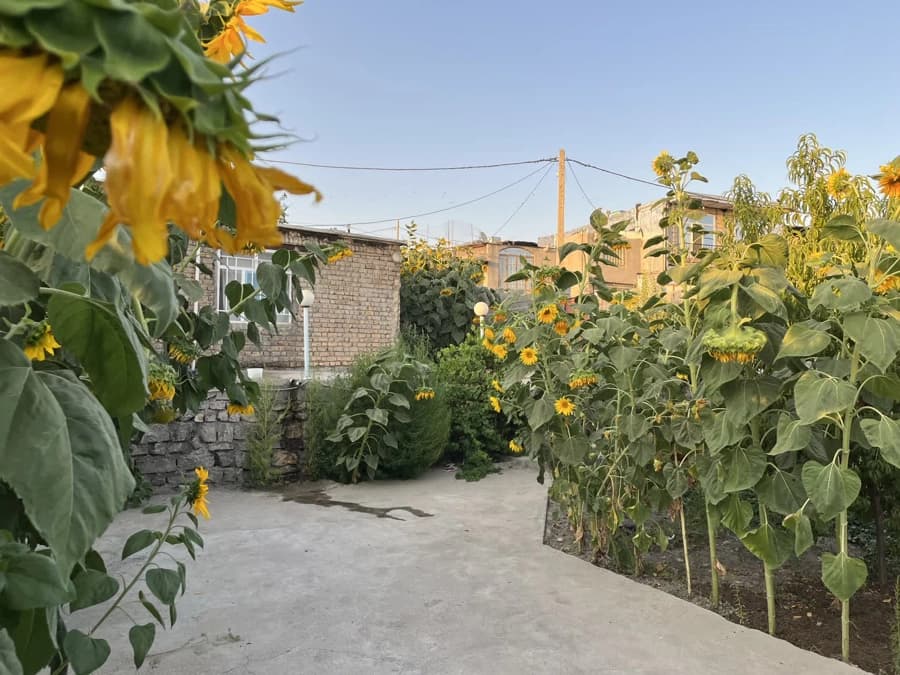 محوطه 