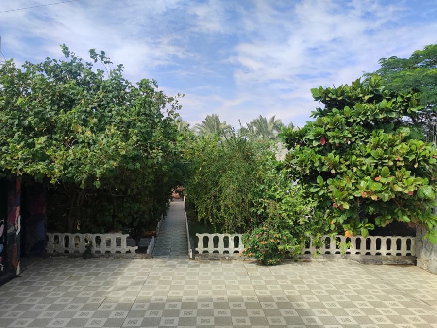 حیاط ویلا
