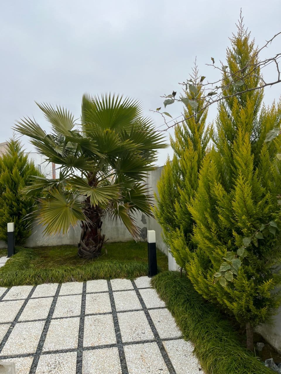 حیاط