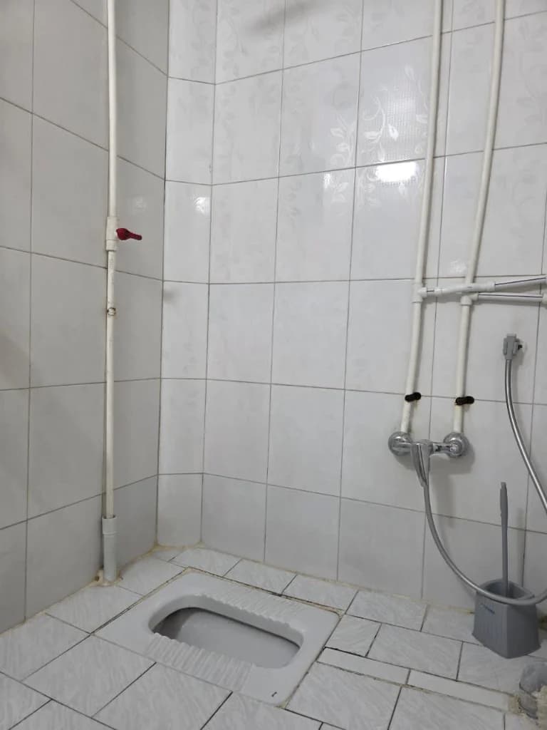 سرویس ایرانی 