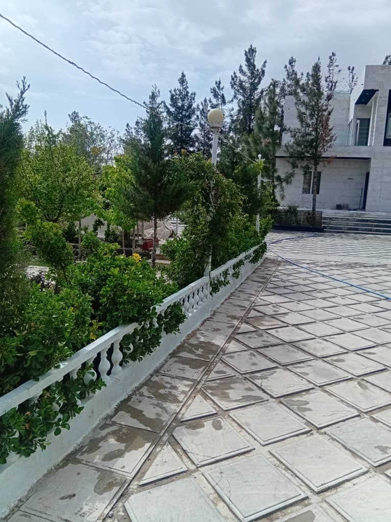 حیاط
