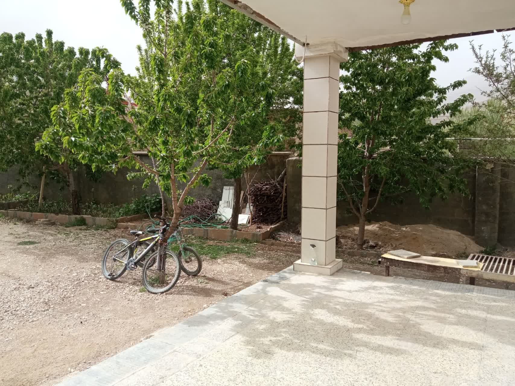 حیاط 