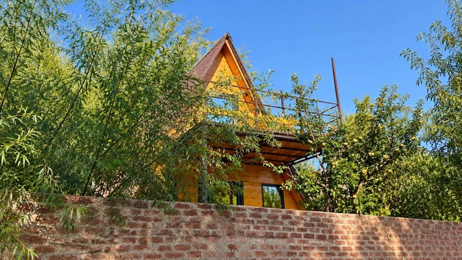 نما کلبه سوئیسی 
