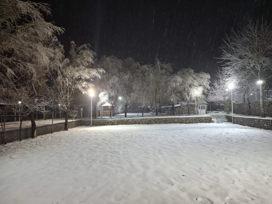 محوطه