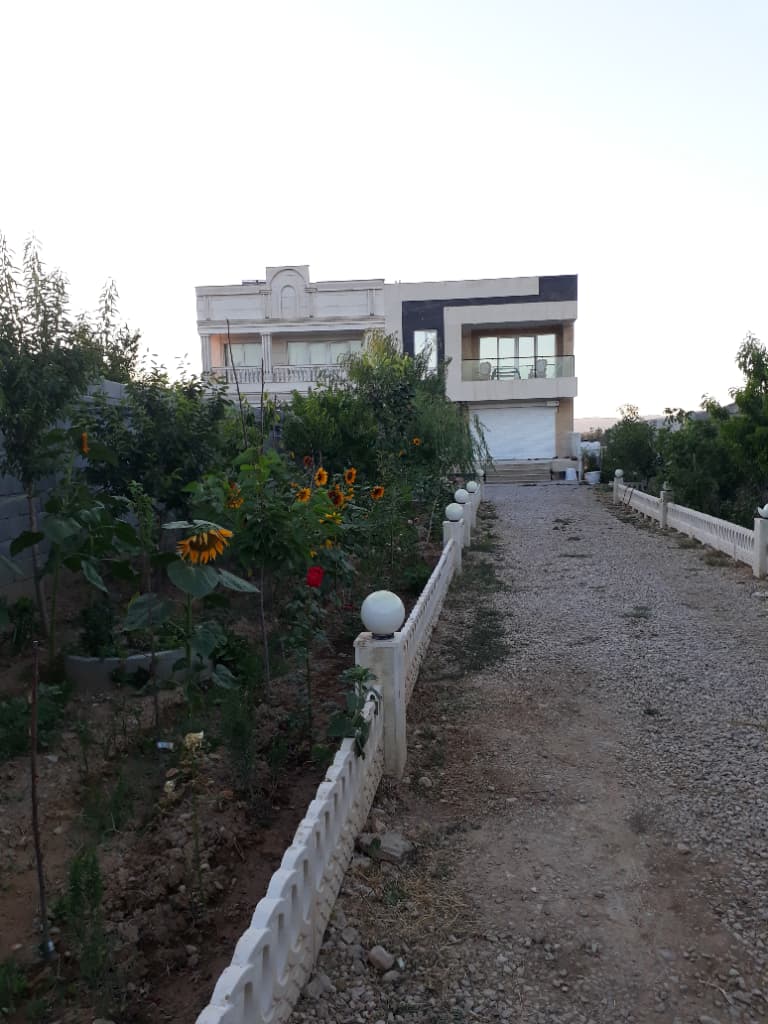 حیاط 