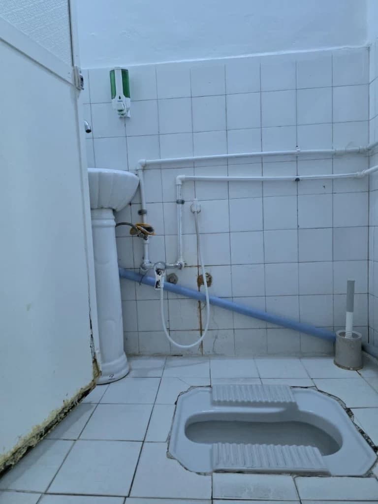 سرویس ایرانی 