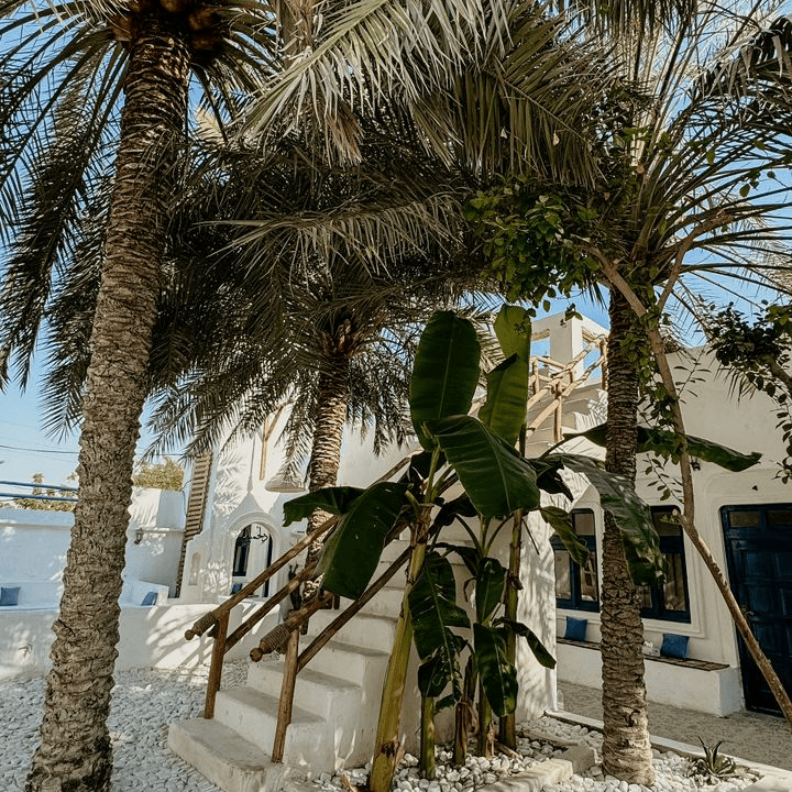 محوطه