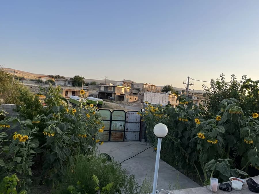 حیاط 