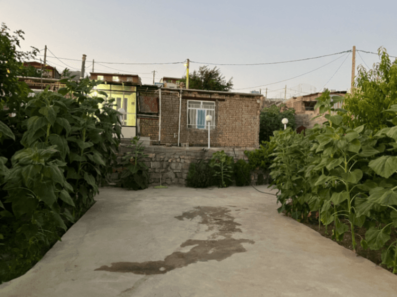 حیاط 