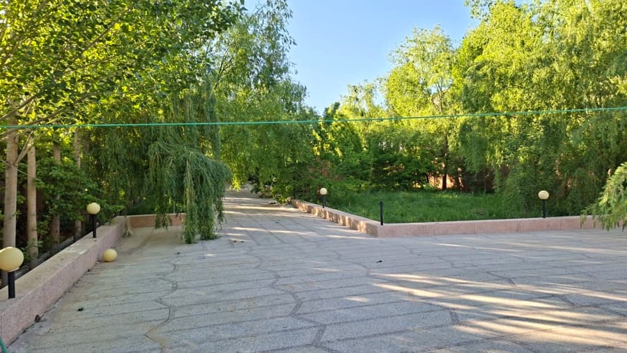 حیاط
