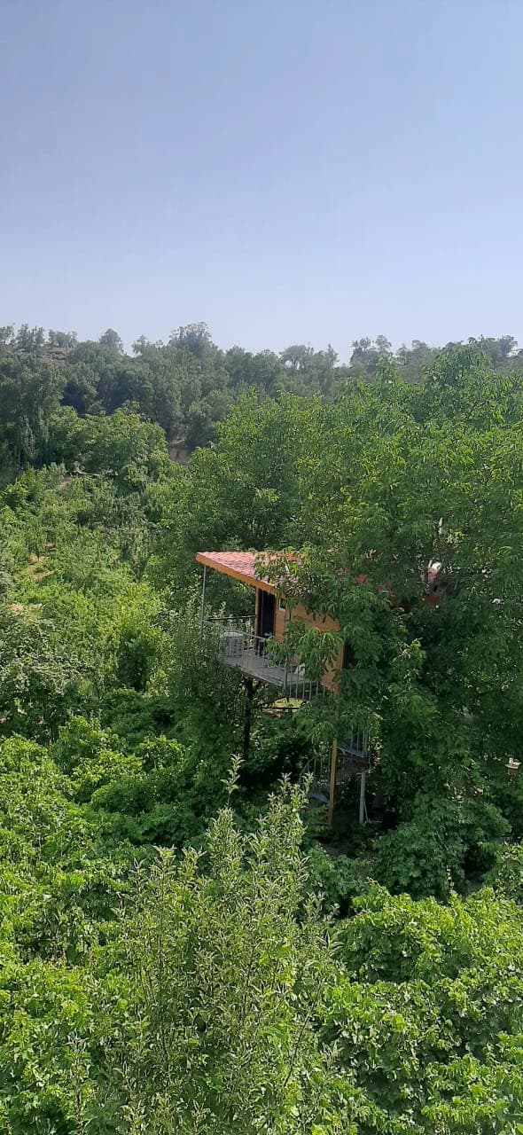 چشم انداز