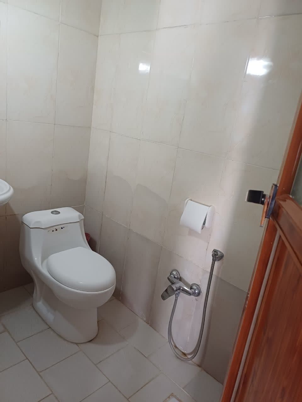 سرویس فرنگی 
