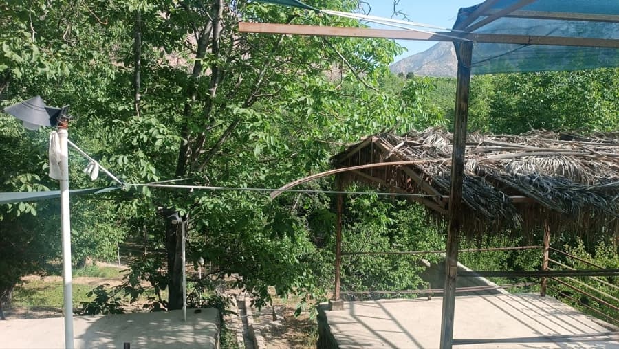 محوطه باغ 