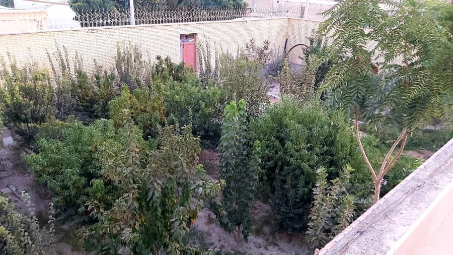 نمای  باغ