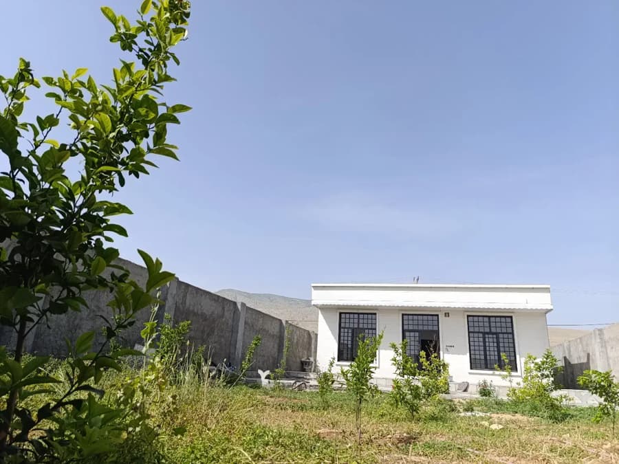 حیاط و نمای ویلا