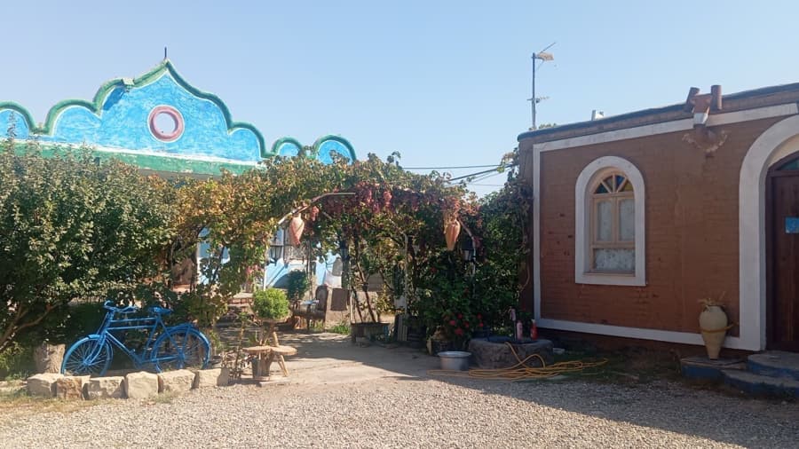 حیاط
