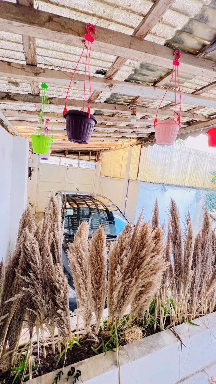 ورودی و حیاط