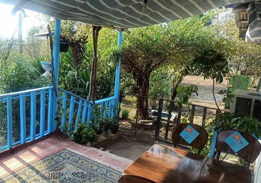 حیاط و ایوان
