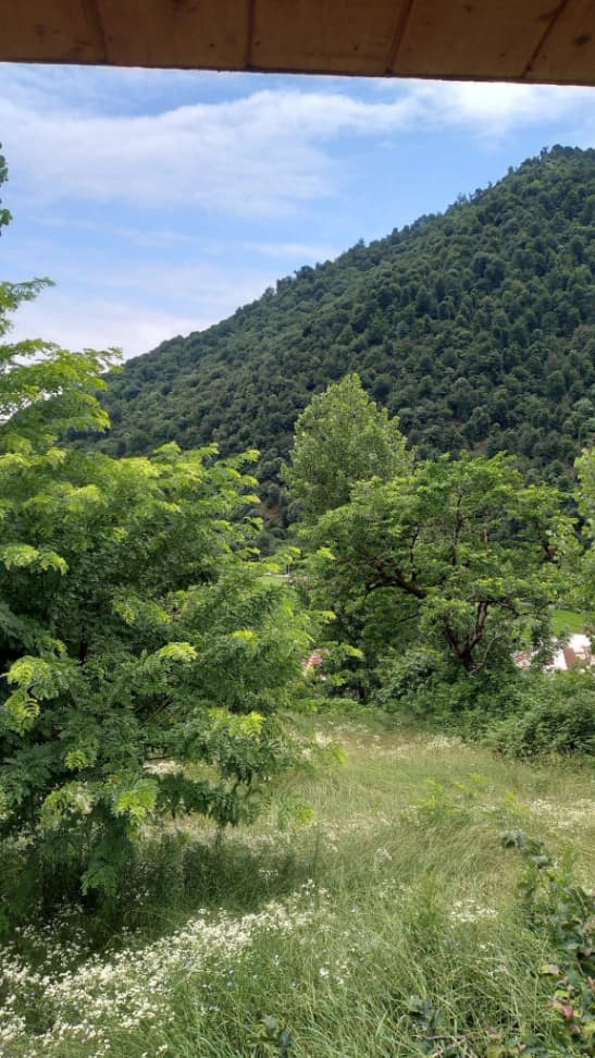 چشم انداز